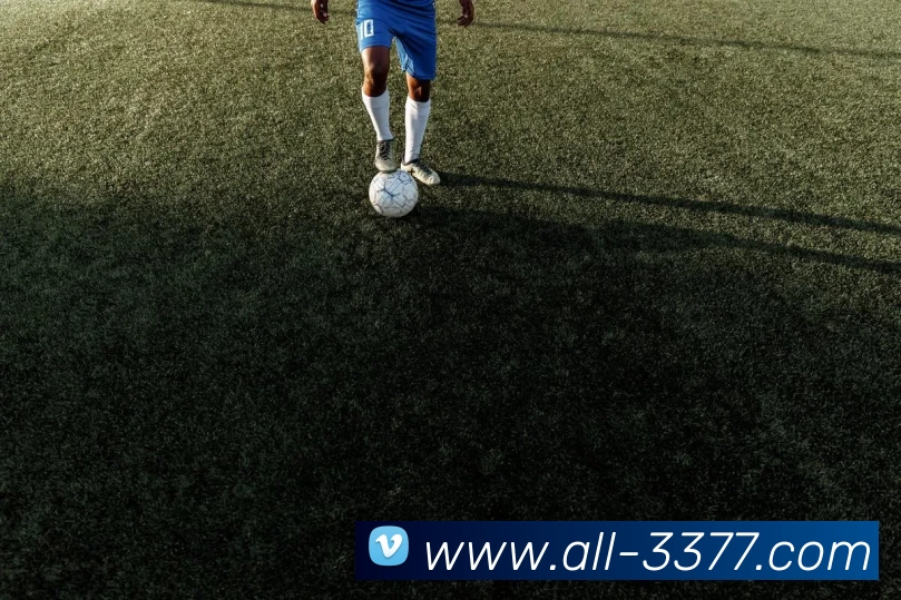 3377体育发展历程